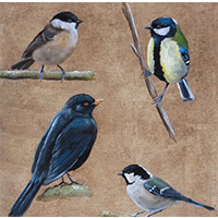 Becky Munting Painting of birds