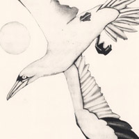 Beatrice Forshell Bird Art