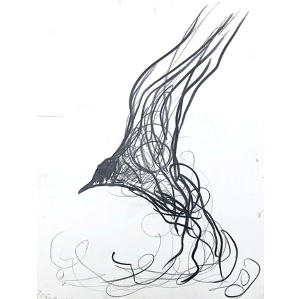 Drawing of bird in flight