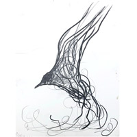 Jason Gathorne-Hardy Bird Drawing