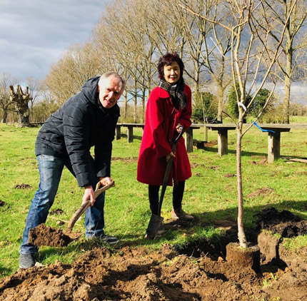 Two people planting a tree